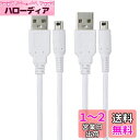 Suptopwxm 3DS 充電器 充電ケーブル 1.2m 2本セット USB電源コード New3DS/ New3DSLL /3DS /3DSLL/ i2DS /DSi/DSiLL/2DSなど用 (ホワイト)