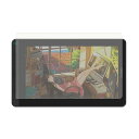 HUION 液タブ専用フィルム 光などの正反射を制御し防眩性を持たせるAGフィルム (13.3インチ)