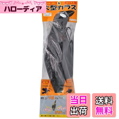 【送料無料】コンパル 大型カラス