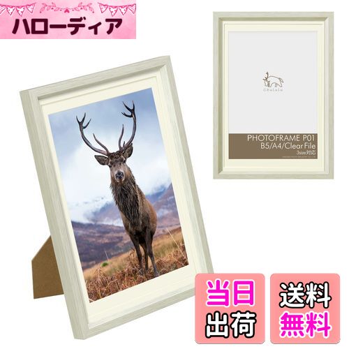 【送料無料】ハクバ 額縁 Chululu(チュルル)フォトフレーム P01 B5/A4/クリアファイルサイズ兼用 ホワイト FCHL-P01LWT