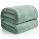 【送料無料】Hansleep 毛布 シングル 冬用 ブランケット 140x200cm マイクロファイバー 柔らかく肌触り フランネル 洗える 静電防止 四季適用 (140x200,カルダモングリーン)