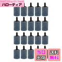 TAORAYO エアーストーン セット 円筒形エアストーン 15*25mm 水槽酸素石 空気石 酸素を出す石 エアストーン 気泡ディフューザー バブルメイト ミニエアーバブルストーン バルブストーン いぶきエアストーン アクアリウムエアストーン 円筒形エアストーン 水族館エア盤 円