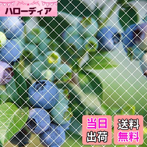 【送料無料】ベランダ 防鳥ネット 3×8m 鳥よけネット カラス 鳩 鳥害対策 防鳥防獣網 鳥除け Limthe透..