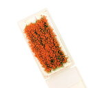 【送料無料】花 ジオラマ用素材 草花シリーズ オレンジ 情景コレクション グラス模型 建物モデル 装飾 風景 箱庭 鉄道模型 ジオラマ PJ07OR-1JP