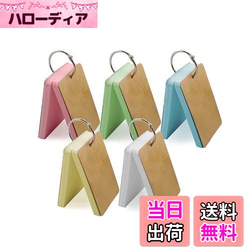 【送料無料】VANRA 単語帳 単語カード リング カラー 暗記帳 暗記カード 大きめ インデックスカード ブランクカード クラフト紙 しおり/DIY スタディカード マルチカラー 5.5x9cm