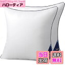 【送料無料】Belinna クッション中身 45x45cm*2(他のサイズもある)厚い 潰れない 二個セット cushion 背もたれ ソファークッション ヌードクッション 丸洗い可能 抱き枕