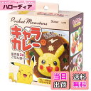 【送料無料】スケーター(Skater) キャラカレー ご飯押し型 ライス型 ご飯型 ポケットモンスター ピカチュウ LCR3-A