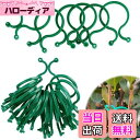 【送料無料】誘引クリップ 園芸 クリップ 植物サポートクリップ 支柱クリップ 結束バンド 庭の植物サポートリング 園芸用便利クリップ 誘引作業 サポート 接木つ...