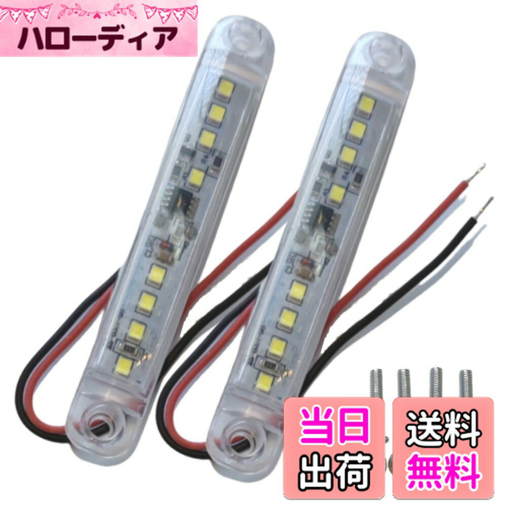 【送料無料】ティーグルブラン 汎用 サイドマーカー ミニ マーカー ランプ LED デイ ライト ストロボ トラック 高輝度 24V 2個 セット 色：ホワイト
