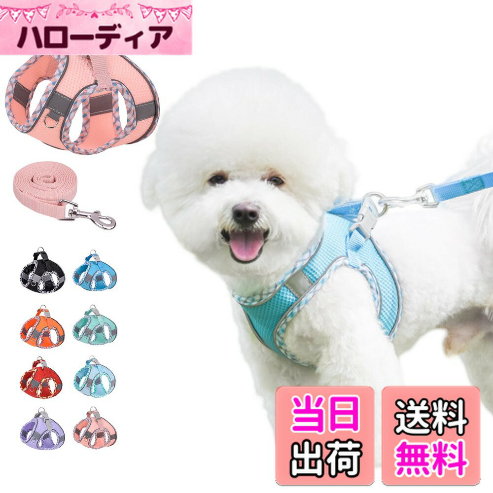 ������̵����KUVEELA PET ������ ǭ �淿�� �ϡ��ͥ� �꡼�ɥ��å� ���������� ������ ƹ�� �ɥå������� ȿ�͸����ȥ�å��դ� ��å��� �������...