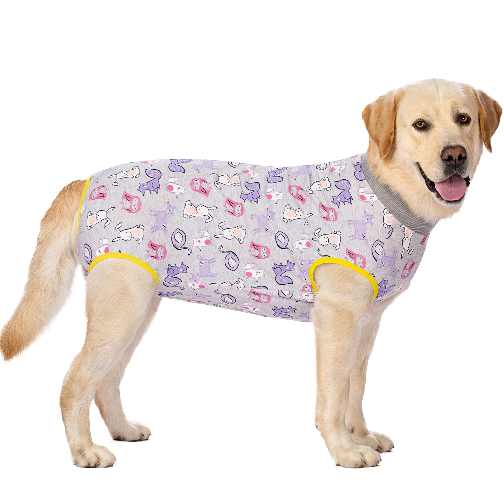 【送料無料】恐竜KUVEELA PET 術後服 犬服 犬術後服 術後ウェア 術後カバー服 保護服 介護服 避妊 離乳 傷口保護 皮膚病 大型犬 中型犬 色：グレー・リス、サイズ：4L