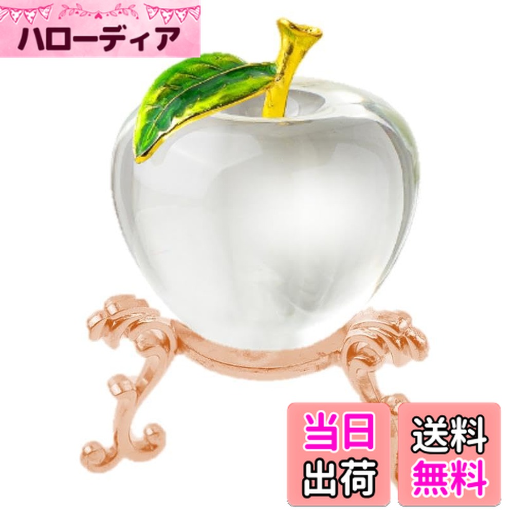 ������̵����speed mao �İ��� Ʃ�� ��� ��ʪ ���֥��� ����ƥꥢ �ץ쥼��� �ʤɤ� ��� ��