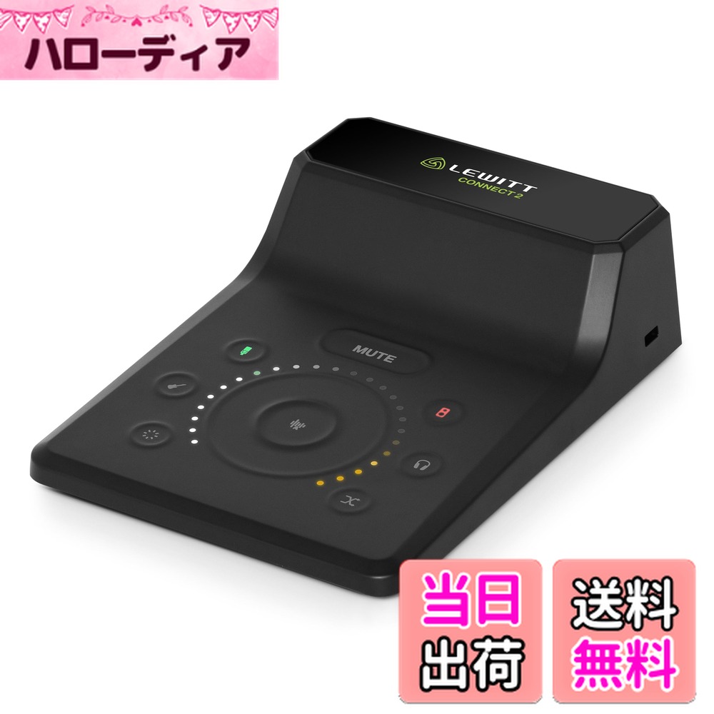 【送料無料】LEWITT CONNECT オーディオインター フェース