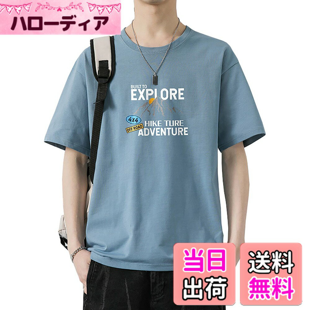 【送料無料】[HEGROPH] メンズ tシャツ 半袖 たんしょくけい 100%綿 ゆるい おしゃれ tしゃつ 薄手 無地 でシンプル プリント サマードレス 色：ブルー、サイズ：L