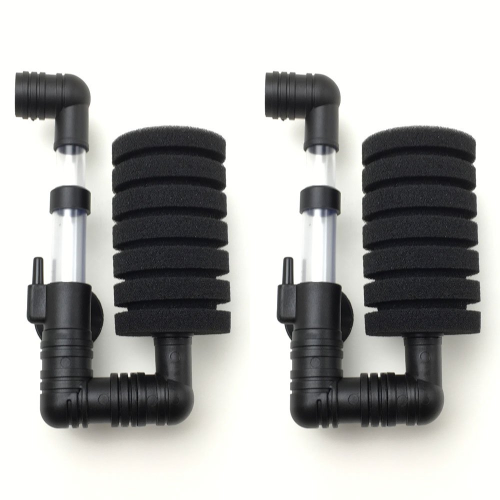 ������̵����RedBeryl ���٤륻�å� ���֥� ���ݥ󥸥ե��륿�� ���� �������� ����XY2830 2��