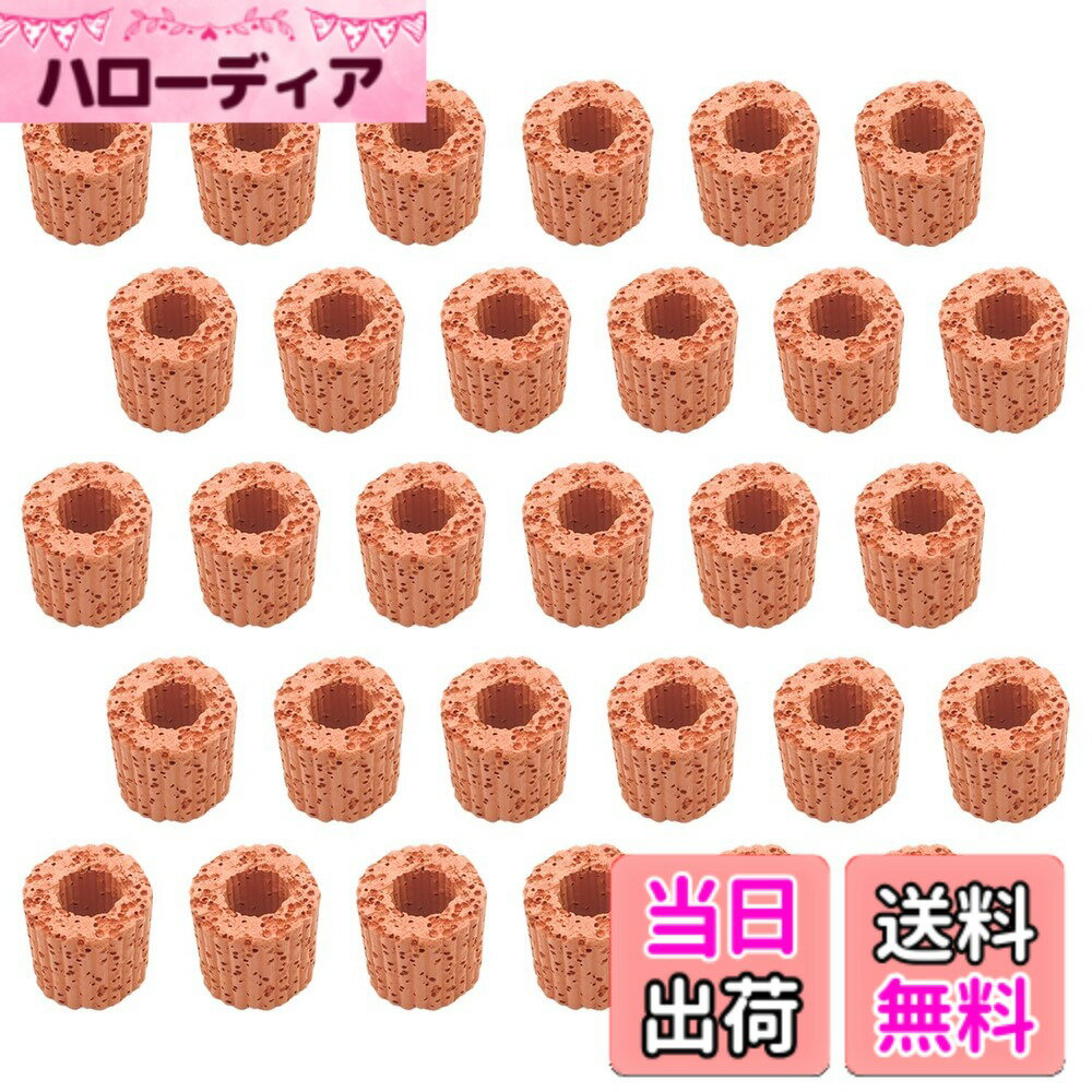 【送料無料】RedBeryl 水草固定リング マルチリング 水槽 栽培 水生植物 アクアリウム