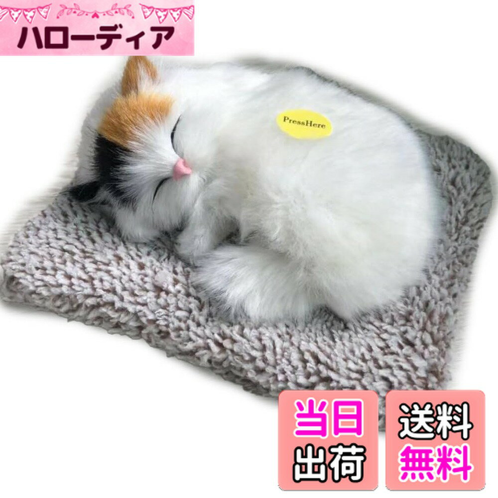 ������̵����TOMMYFIELD ǭ ��ʪ ����ƥꥢ ���襤�� ����ú���� �ͤ� �̤������ �ꥢ�� ����ú [�¹�͢����] ����ǭ