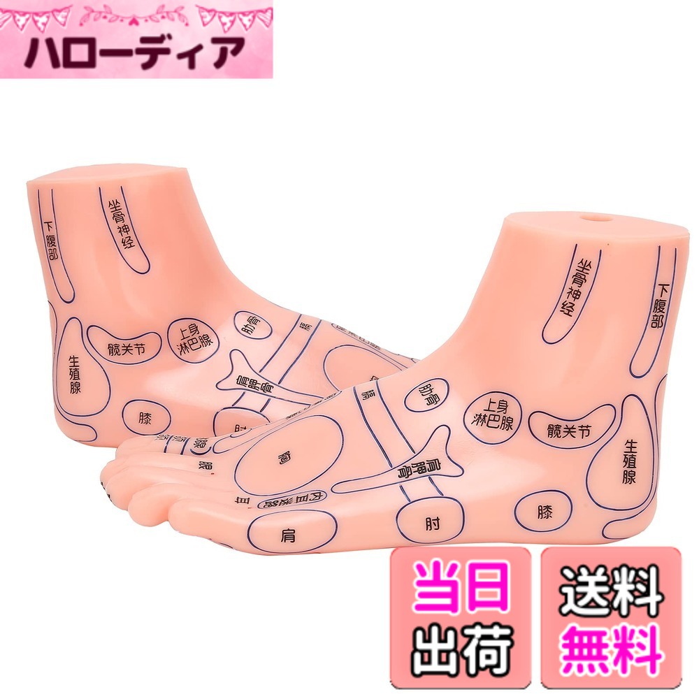 【送料無料】足のツボモデル、足のツボモデルPVC環境にやさしい教育ツール病院、学校、クリニック、家族向け