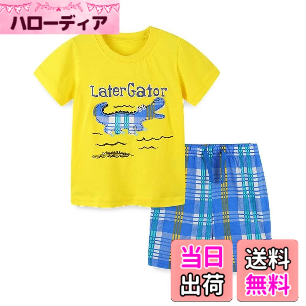 ������̵����[Aolyty] ���å� ȾµT����� �ϡ��եѥ�� �岼���å� �ץ��� �����å��� �����奢�� �Ҷ� �˻� ������������/��ˡ���������110