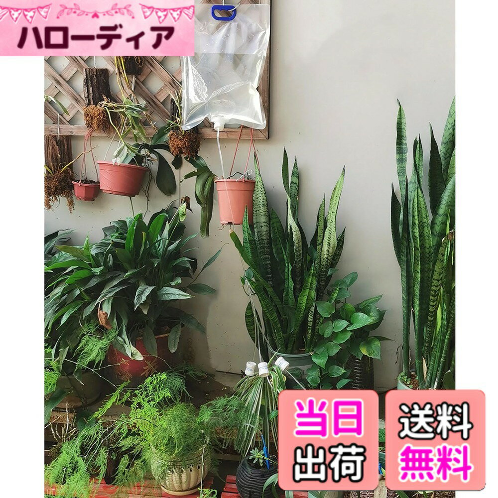 【送料無料】ZRGR 自動水やり機 植物 自動水やり 5.2L 大容量 3つ水出口 水やり当番 留守中も安心 自動水遣り機 水やり 自動 自動水やり器 鉢植え 園芸 植木鉢 留守の時水やりプランター 出張 旅行も安心 ガーデニング 盆栽 観葉植物 野菜に適用 色：透明