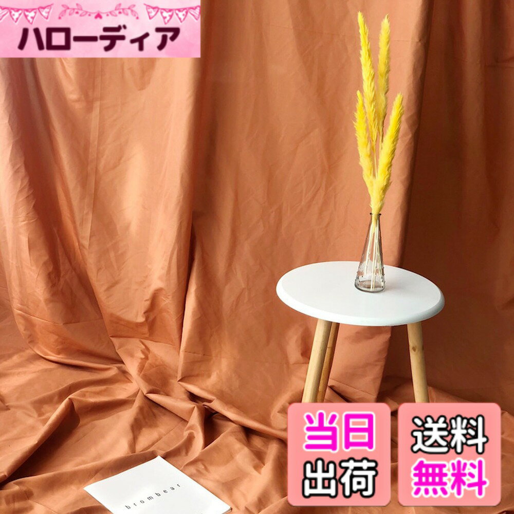 【送料無料】Lezalic 背景布 300cm*240cm 無地 生地 物撮り 撮影用 内装 写真 多用途 シワが付きにくい バック スクリーン スタジオ 布 クロス 色：カフェオレ、サイズ：マット イースター gopro レフ板 ポートレート 重り ゴースト ジオグラフィック 衝立
