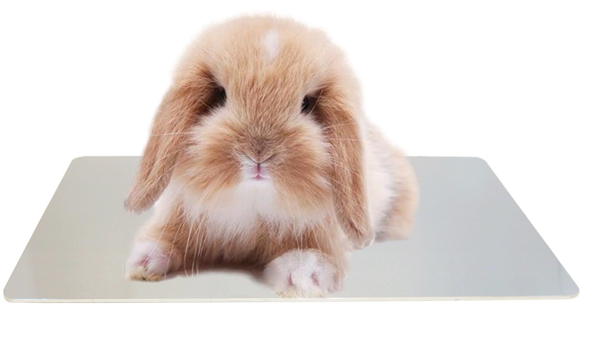 【送料無料】[Stork Corp] うさぎ ひんやり マット シート アルミボード アルミ板 保冷 夏 涼しい ハムスター チンチラ モルモット サイズ：30cm X 20cm
