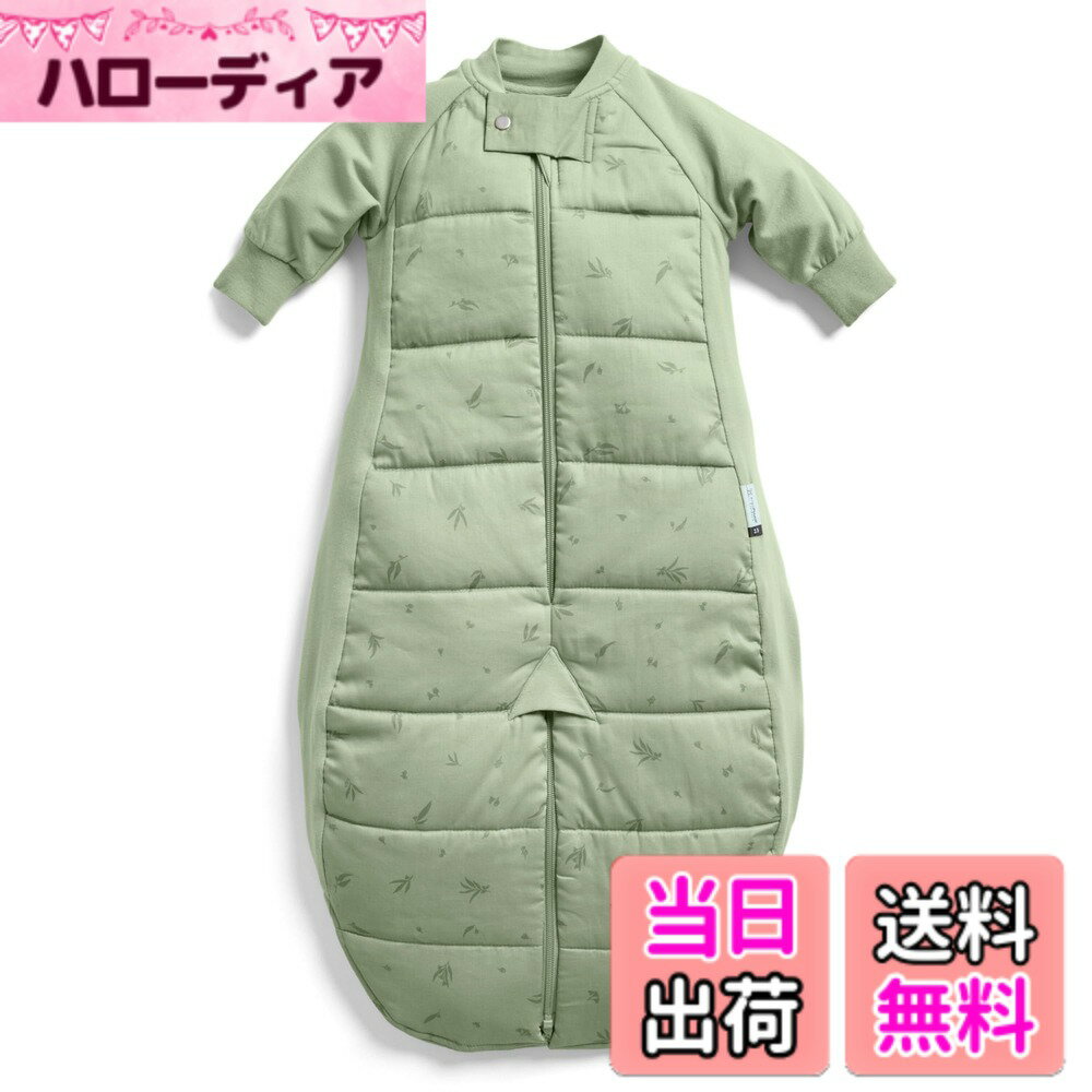 【送料無料】[ergoPouch] エルゴポーチ スリープスーツバッグ Sleep Suit Bag 【正規品】 スリーパー 色：ウィロー、サイズ：2-4Y
