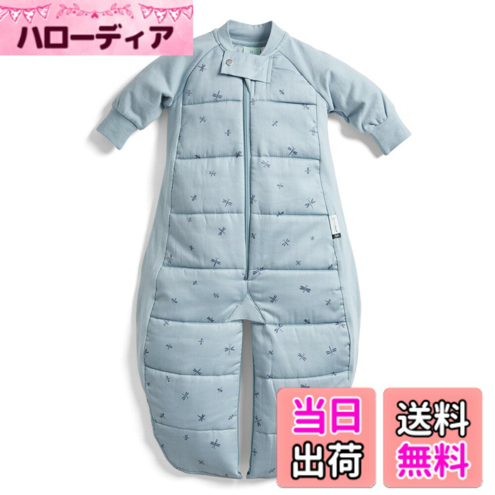 【送料無料】[ergoPouch] エルゴポーチ スリープスーツバッグ Sleep Suit Bag 【正規品】 スリーパー 色：ドラゴンフライズ、サイズ：2-4Y