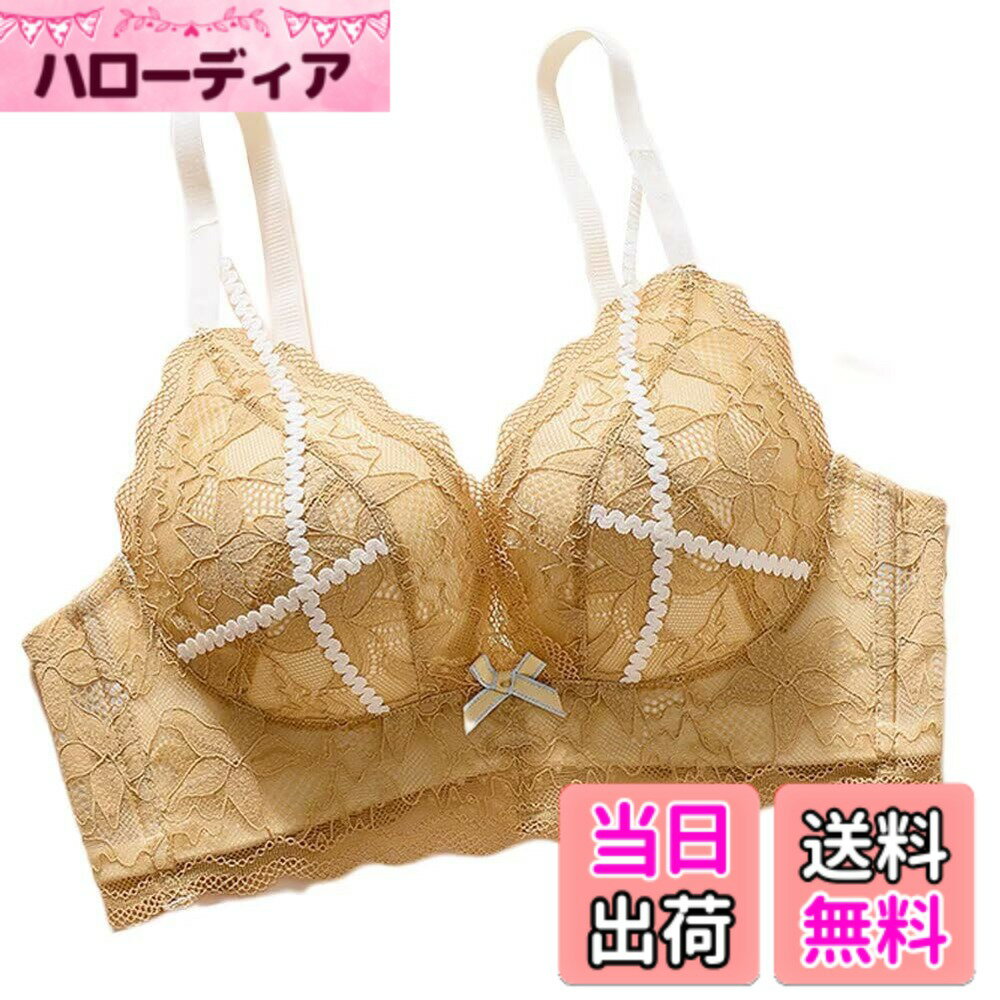 ������̵����[Quntum A.E] ����֥� �˸��ѥå� 5cm���å� �Υ�磻�䡼 �֥饸�㡼 �󤻤� �졼�� ����������󥸥��꡼ �������å� �ƹ� �ܥ�...