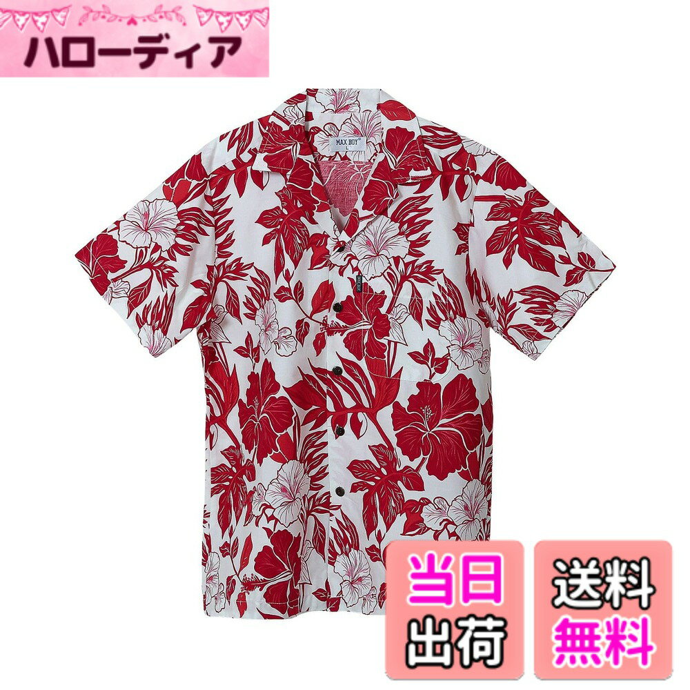 ������̵����[Four leaf] ������� �����ϥ���� ��� Ⱦµ ���� �� �����奢�뤫��椷������ ������� ���ߥ���� �ȥåץ� �ϥ磻���� ��ä�...