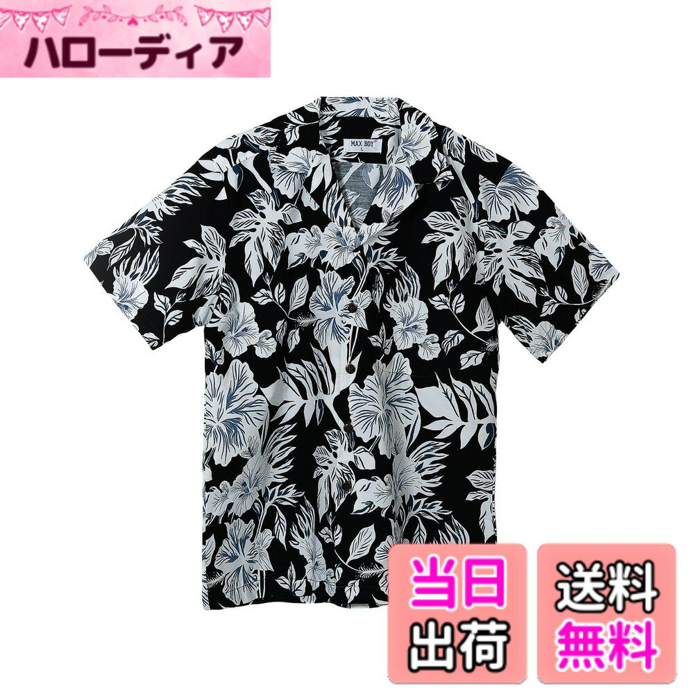 ������̵����[Four leaf] ������� �����ϥ���� ��� Ⱦµ ���� �� �����奢�뤫��椷������ ������� ���ߥ���� �ȥåץ� �ϥ磻���� ��ä�...