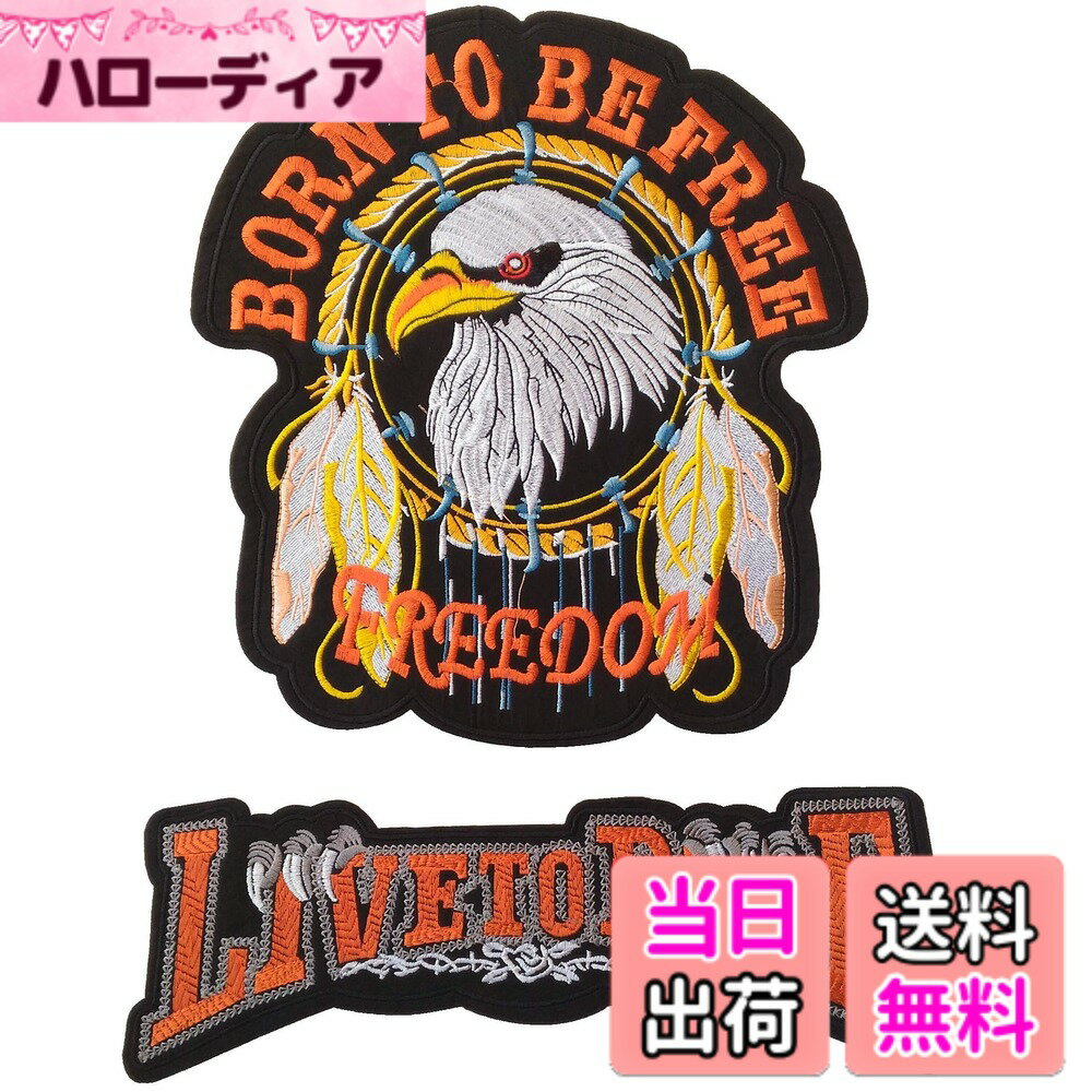 【送料無料】(LOLO import) 大型 鷲 ワッペン 27.5x30.5cm ワシ わし アイロン 刺繍 色：マルチ*, マルチカラー、サイズ：One Size