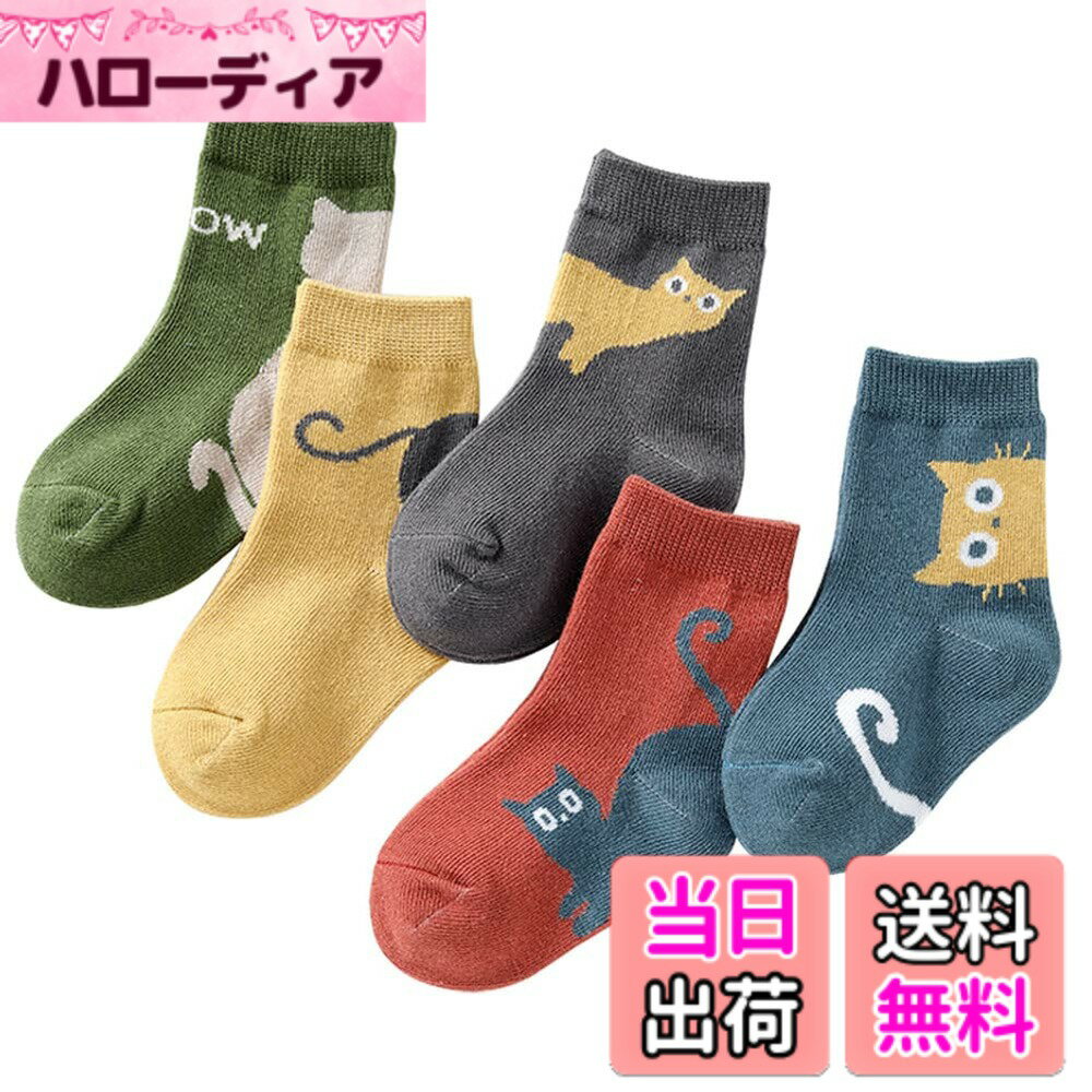 ������̵����[eigenn] ���å� ���� �Ҷ� ���å��� 5­���å� �ˤλ� ���λ� �� �̱� �̳� ����ե� ����YX03����������L