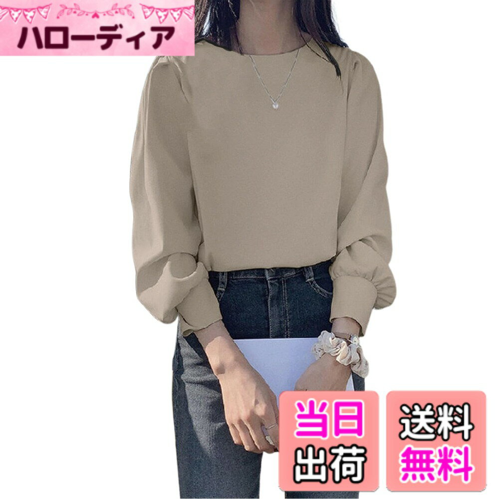 商品情報商品の説明主な仕様 【ふんわりとした優しい着心地】軽やかなシフォン混紡素材を採用し、肌に触れるたびに柔らかさを実感できます。さらりとした質感は長時間の着用でもストレスを感じにくく、通気性にも優れているため春秋の季節にも快適。軽やかに動ける仕上がりで、忙しい日常でも心地よく過ごせます。【上品で女性らしいデザイン】丸首のすっきりとしたラインと愛らしいパフスリーブが、シンプルでありながら洗練された印象を与えます。背中には着脱をスムーズにするボタン付き。派手さを抑えたデザインながら、ナチュラルな上品さが漂い、日常から特別な場面まで幅広くマッチします。【コーディネート自在】デニムやショートパンツと合わせれば爽やかなカジュアルスタイルに。スカートやワイドパンツを選べば女性らしい雰囲気を引き立てます。さらに、ジャケットやカーディガンを羽織ればきちんと感もプラスされ、オフィスシーンにも対応可能。1枚で多彩な着こなしを楽しめる万能アイテムです。【スタイルアップ効果】ふっくらとした袖が肩や腕をさりげなくカバーし、全体のシルエットを華やかに見せます。ウエストからヒップにかけてはすっきりとしたラインで仕上げられており、自然に体型を美しく演出。着るだけでバランス良く見せてくれる、嬉しいデザインです。【幅広い年代におすすめ】普段のお出かけやショッピングはもちろん、友人とのカフェタイムや通勤スタイルにも取り入れやすい一枚です。シンプルながら上品な雰囲気があり、年代を問わず着用できるのも魅力。幅広い世代の女性に自信を持っておすすめできる、ワードローブに加えておきたい一着です。