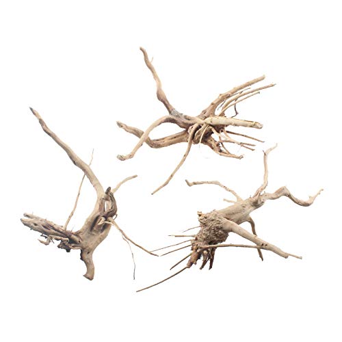 ������̵����emours ��²����ή�� �������� ŷ������ �ڤλ� �� �� �͡��ʥ����� 3�ѥå� (S/M-3�ѥå�) �������åɡ���������S/M-3 Pac...