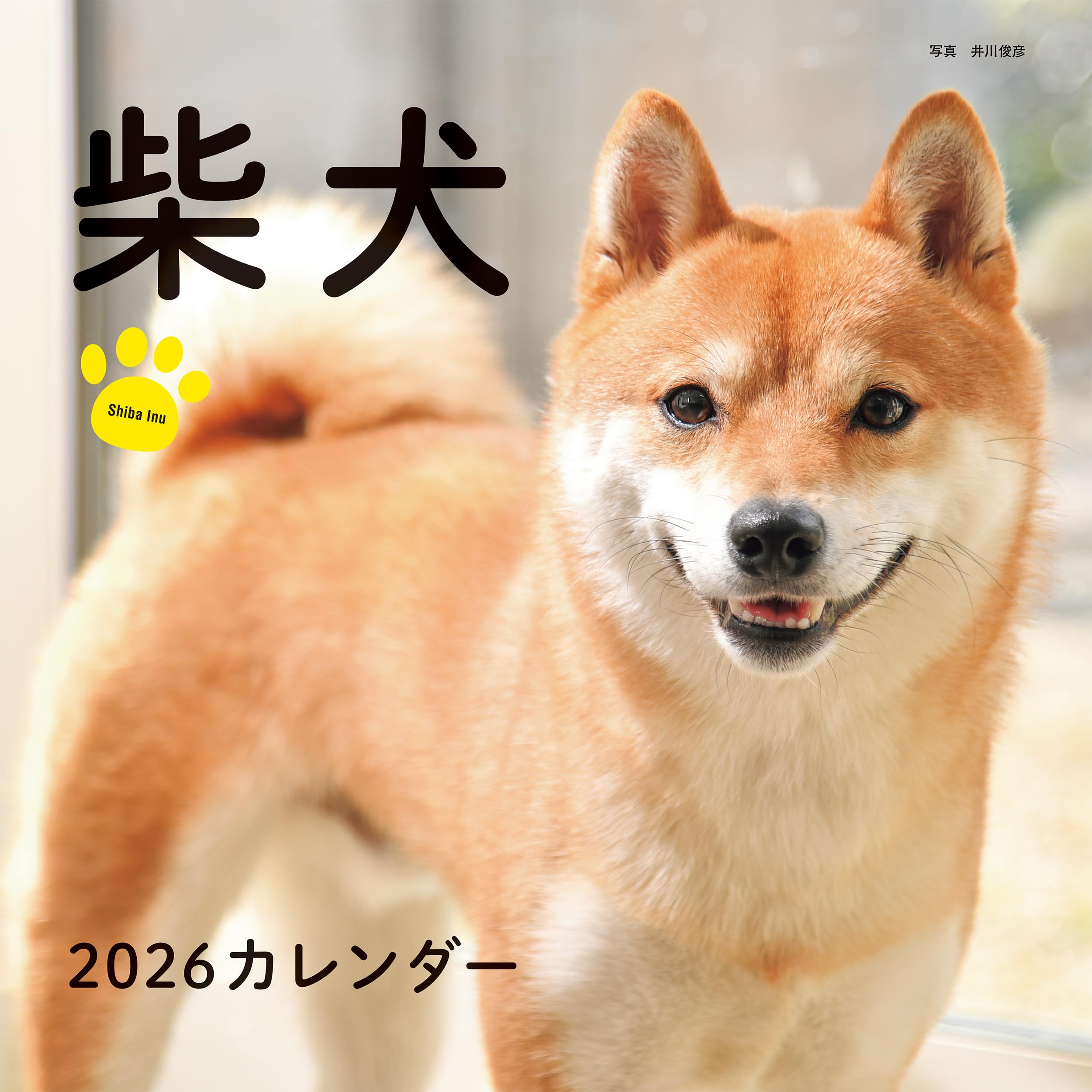 【送料無料】2026年カレンダー 柴犬 (誠文堂新光社カレンダー)