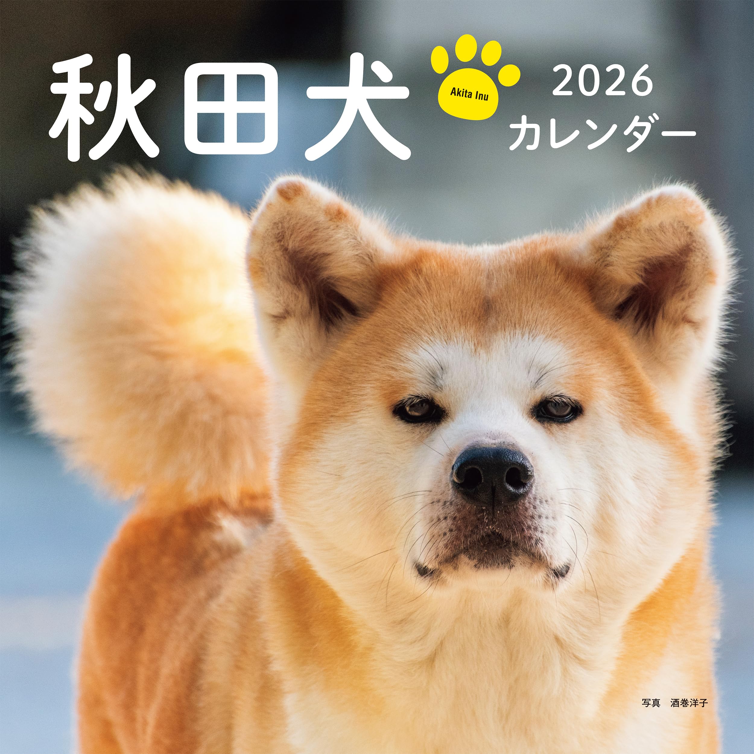 【送料無料】2026年カレンダー 秋田犬 (誠文堂新光社カレンダー)