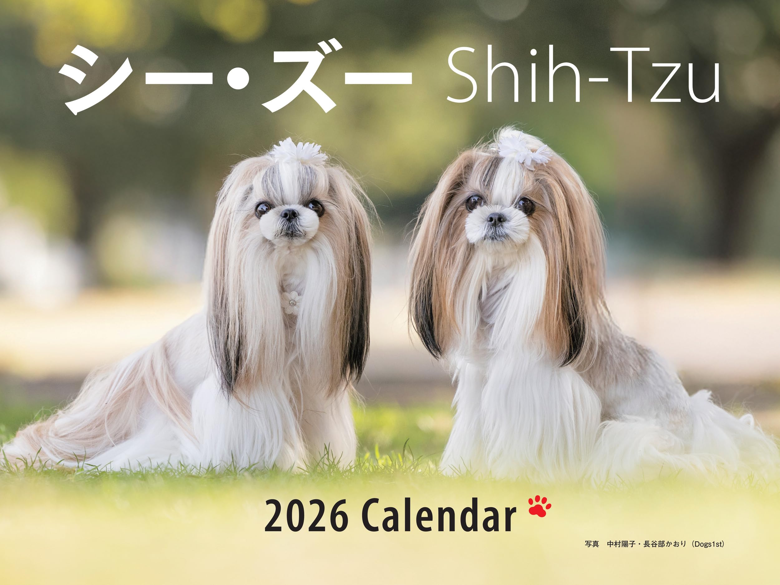 【送料無料】2026年カレンダー ワイド判 シー・ズー (誠文堂新光社カレンダー)