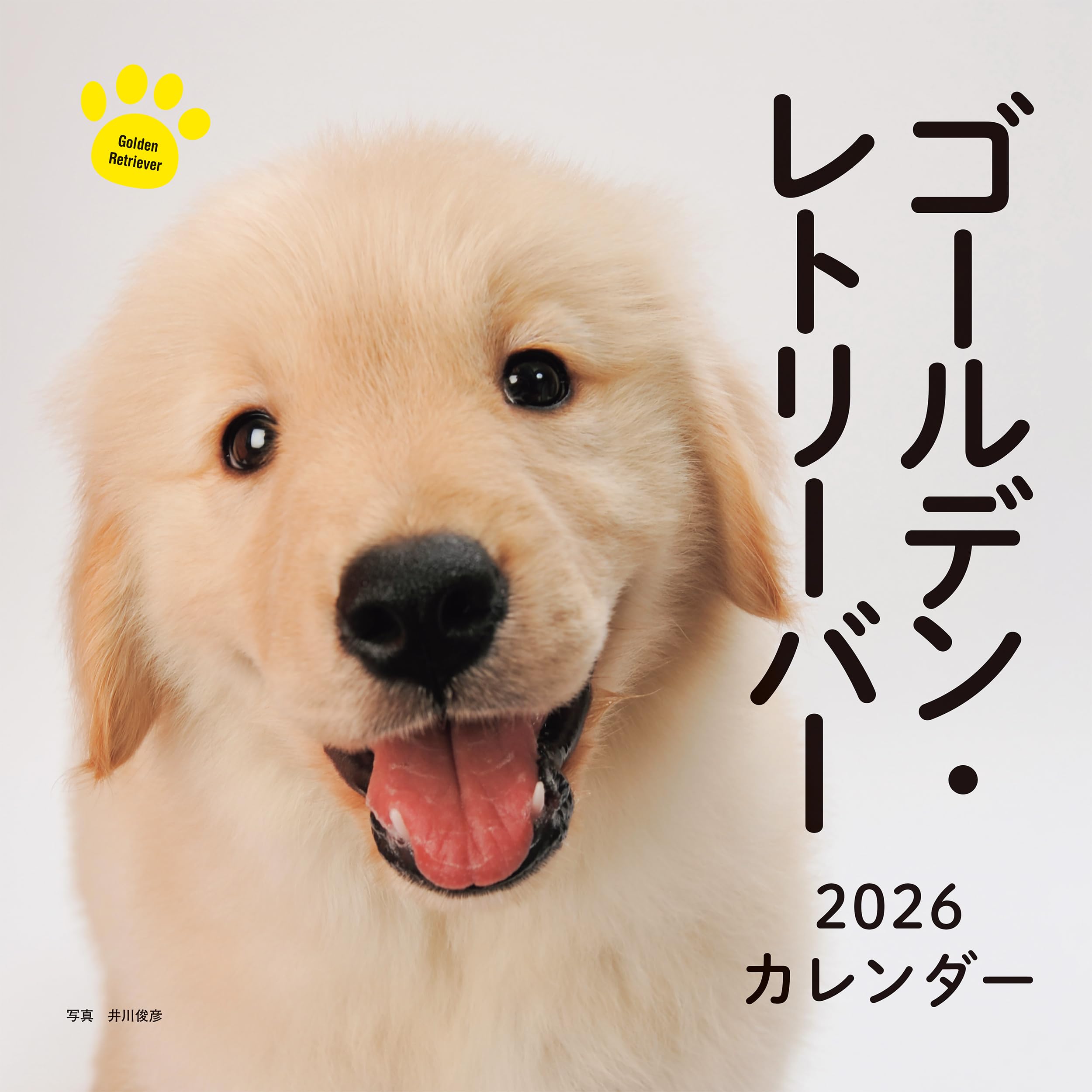 【送料無料】2026年カレンダー ゴールデン・レトリーバー (誠文堂新光社カレンダー)