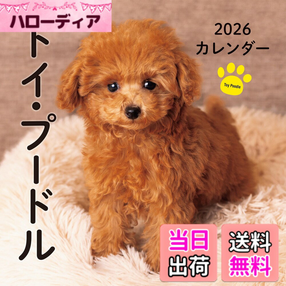 【送料無料】2026年カレンダー トイ・プードル (誠文堂新光社カレンダー)