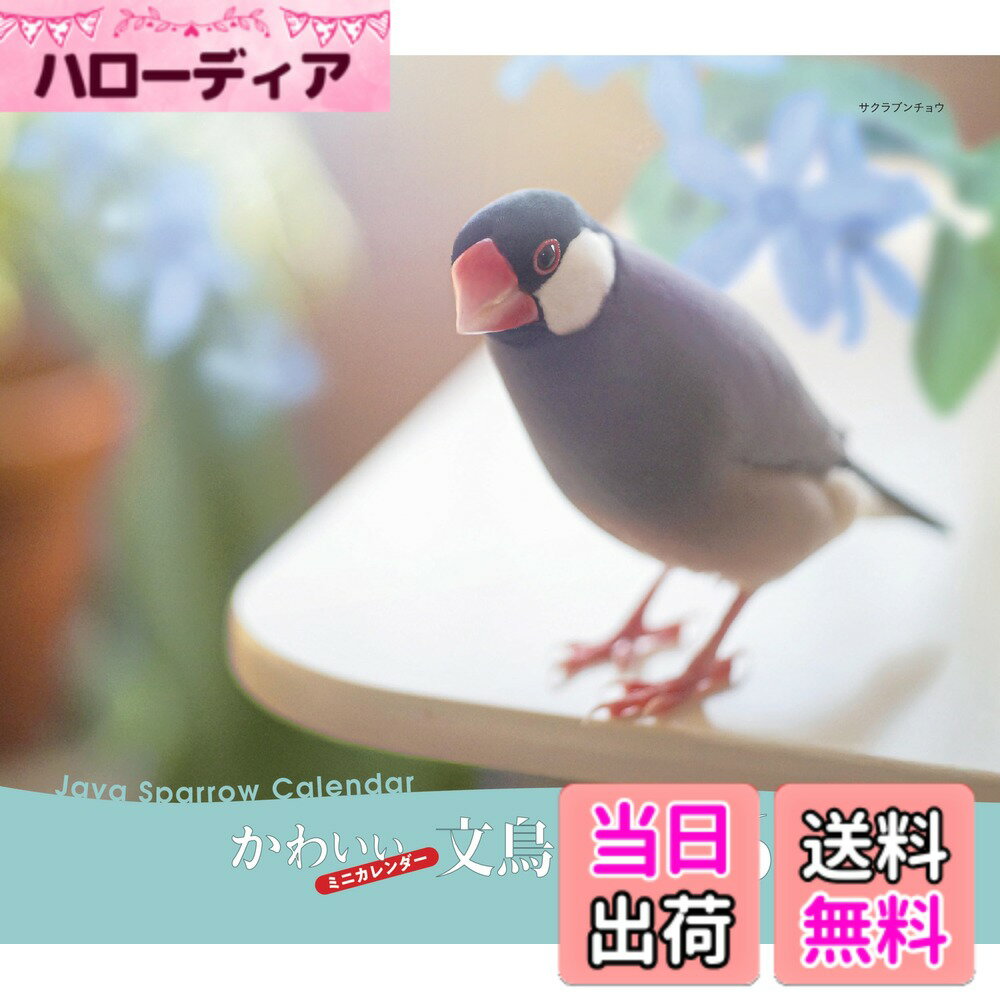 【送料無料】2026年カレンダー かわいい文鳥 (誠文堂新光社カレンダー)