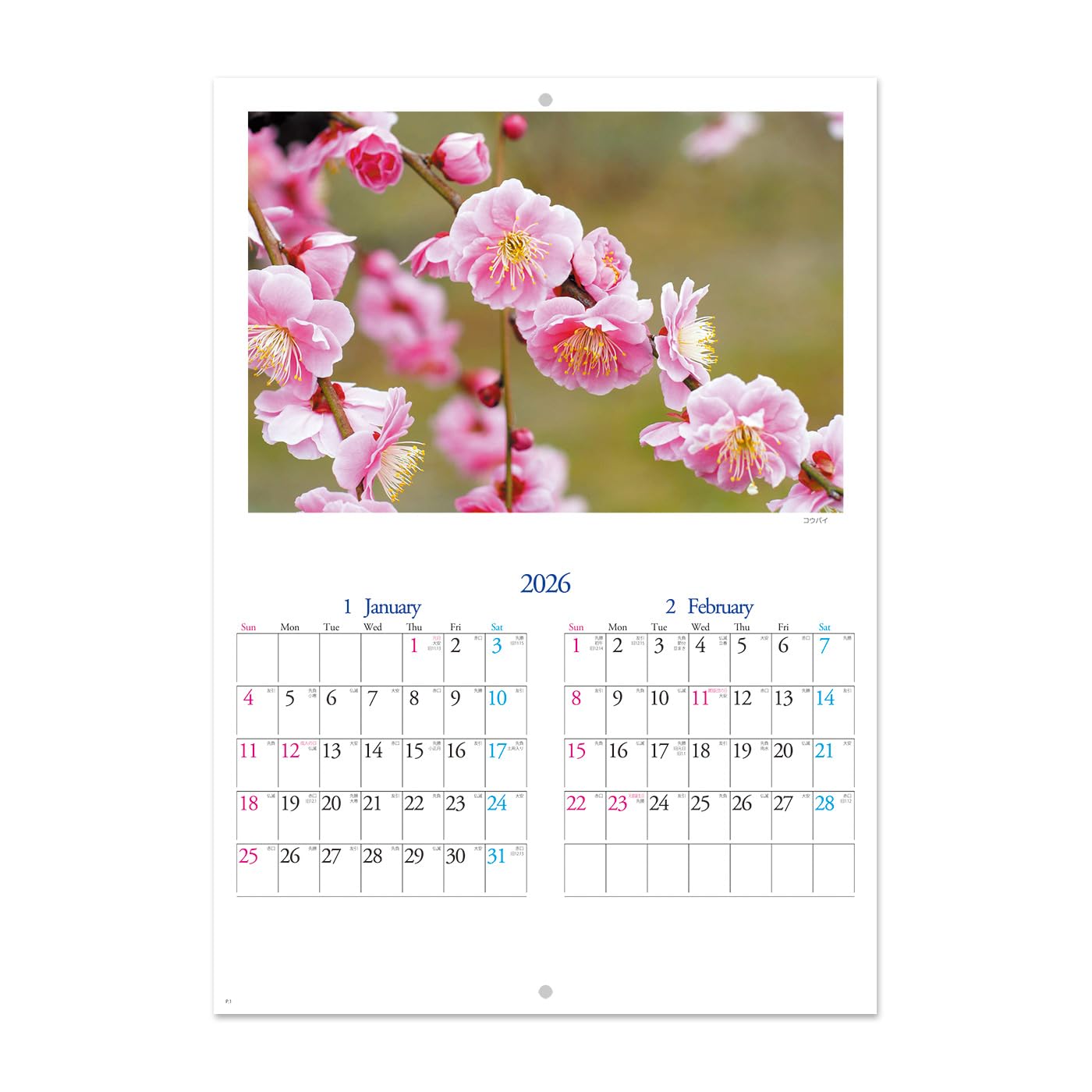 ������̵����2026ǯ �֤κ̤�ҥ֥å���åȥ������������֤����ܡӡû��ѻ�A3��������ϻ�ˡ��󽽻��ᵤ�å��祦�����ɡ�406