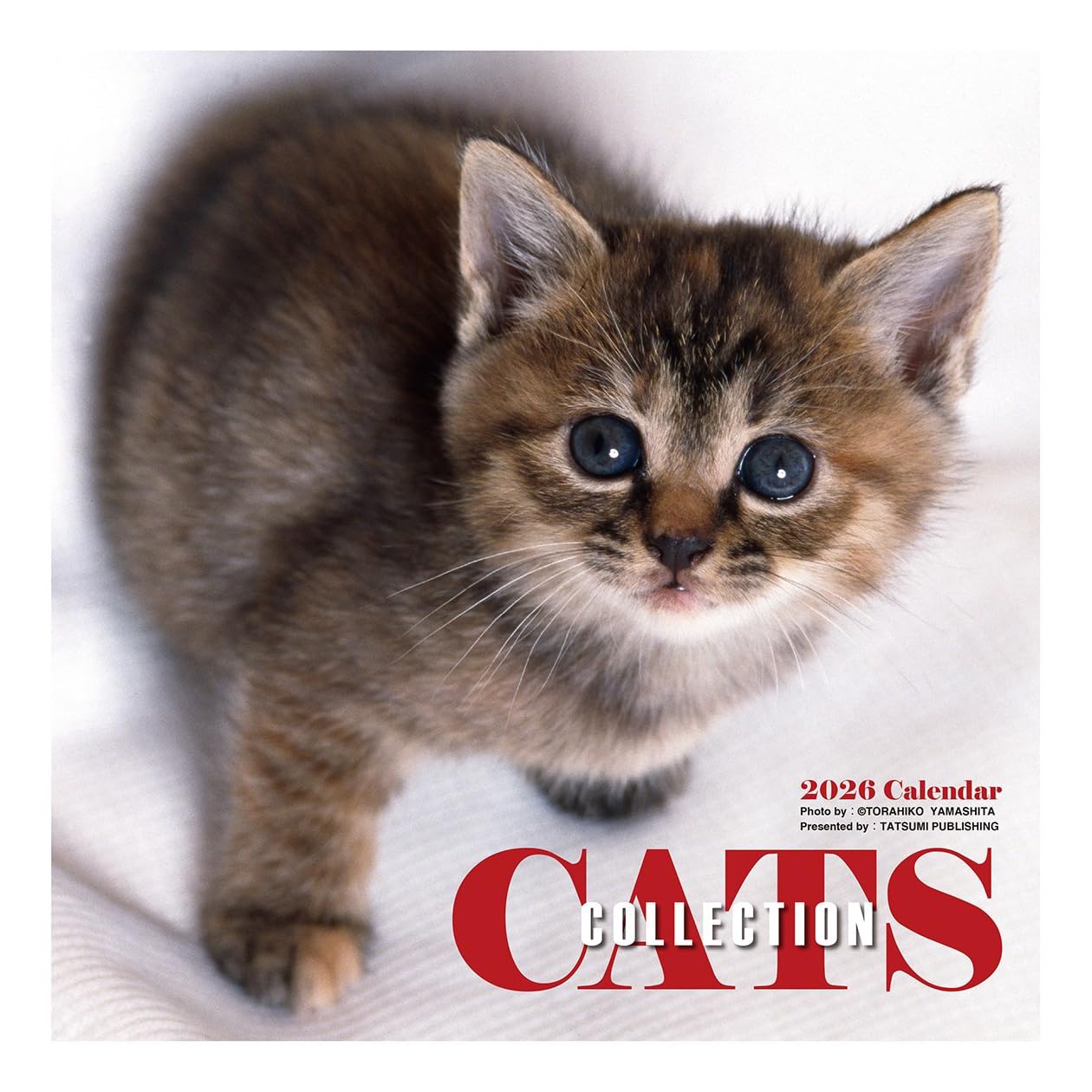【送料無料】2026年カレンダー 辰巳出版/Cats Collection 山下寅彦 色：マルチカラー