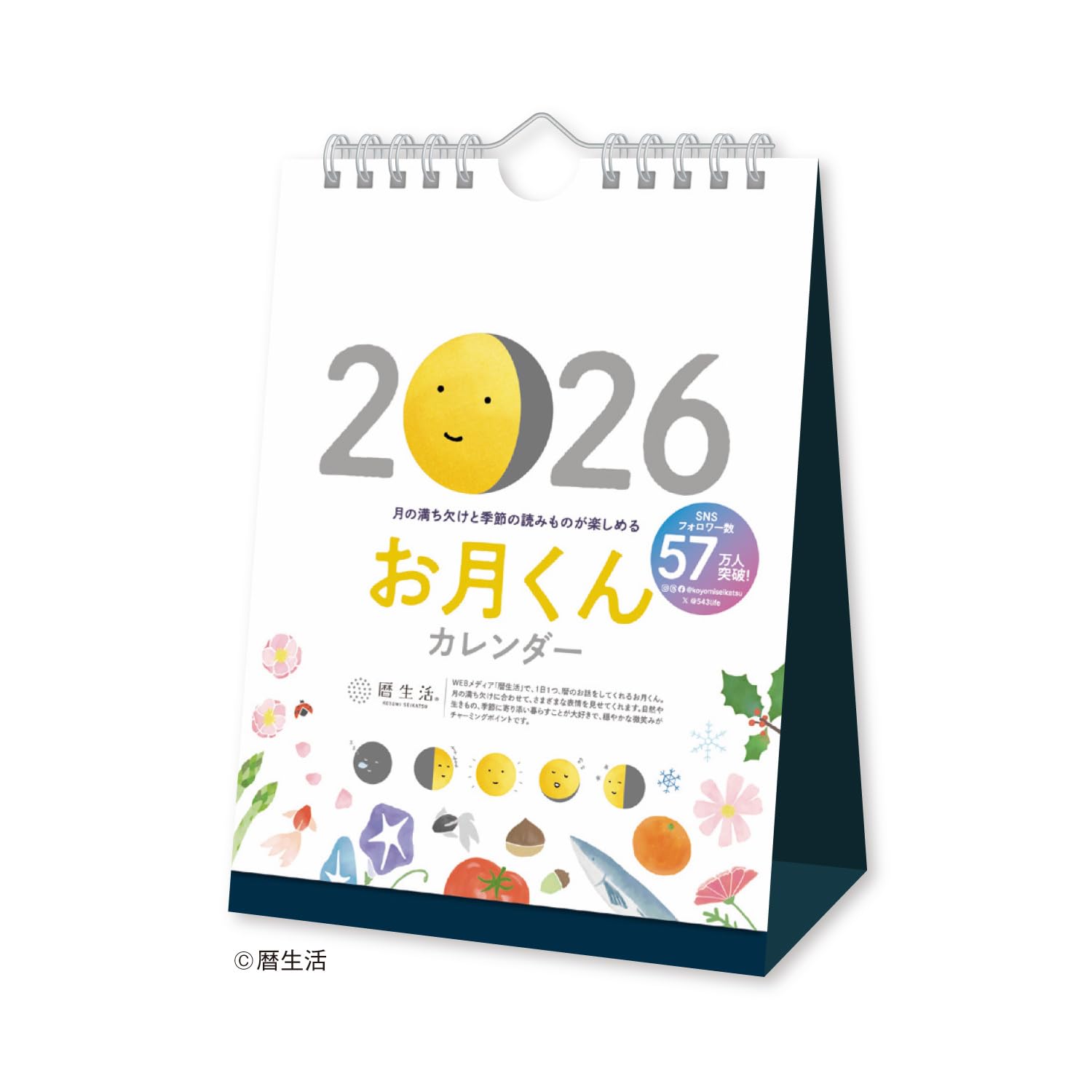 【送料無料】新日本カレンダー お月くん 色：NK8954