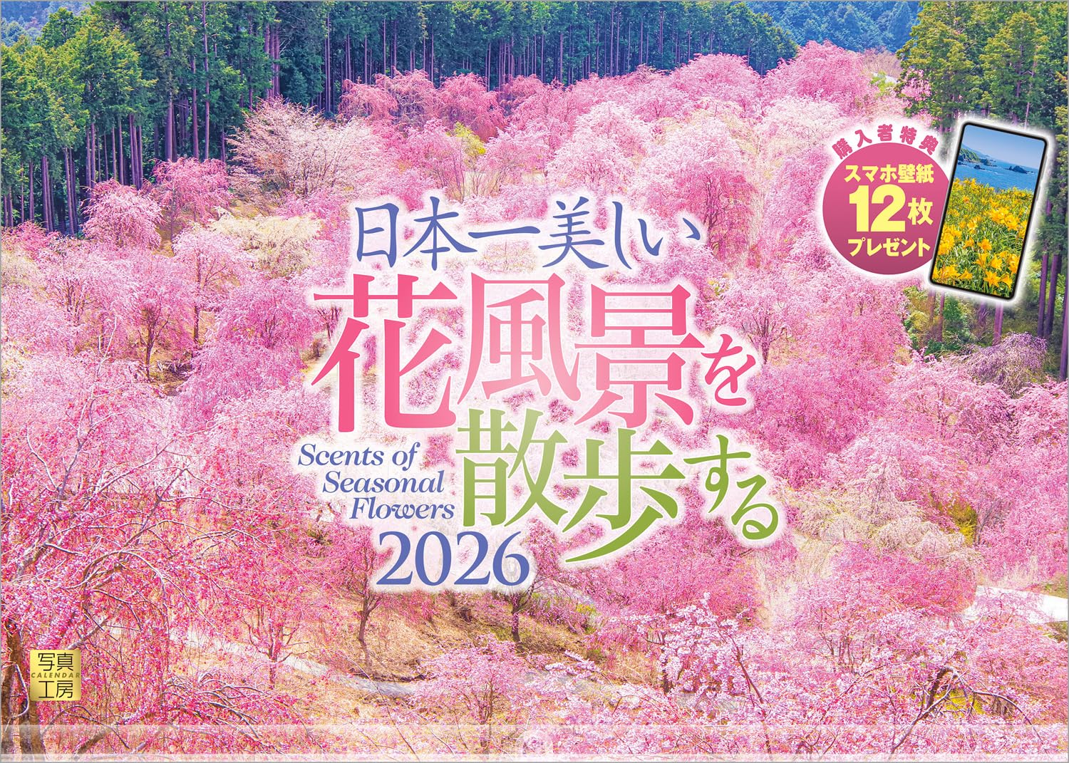 【送料無料】写真工房カレンダー | 日本一美しい花風景を散歩する 2026 カレンダー 壁掛け 風景 【透明ホルダー付 300x420】スマホ壁紙12枚付 色：カラー