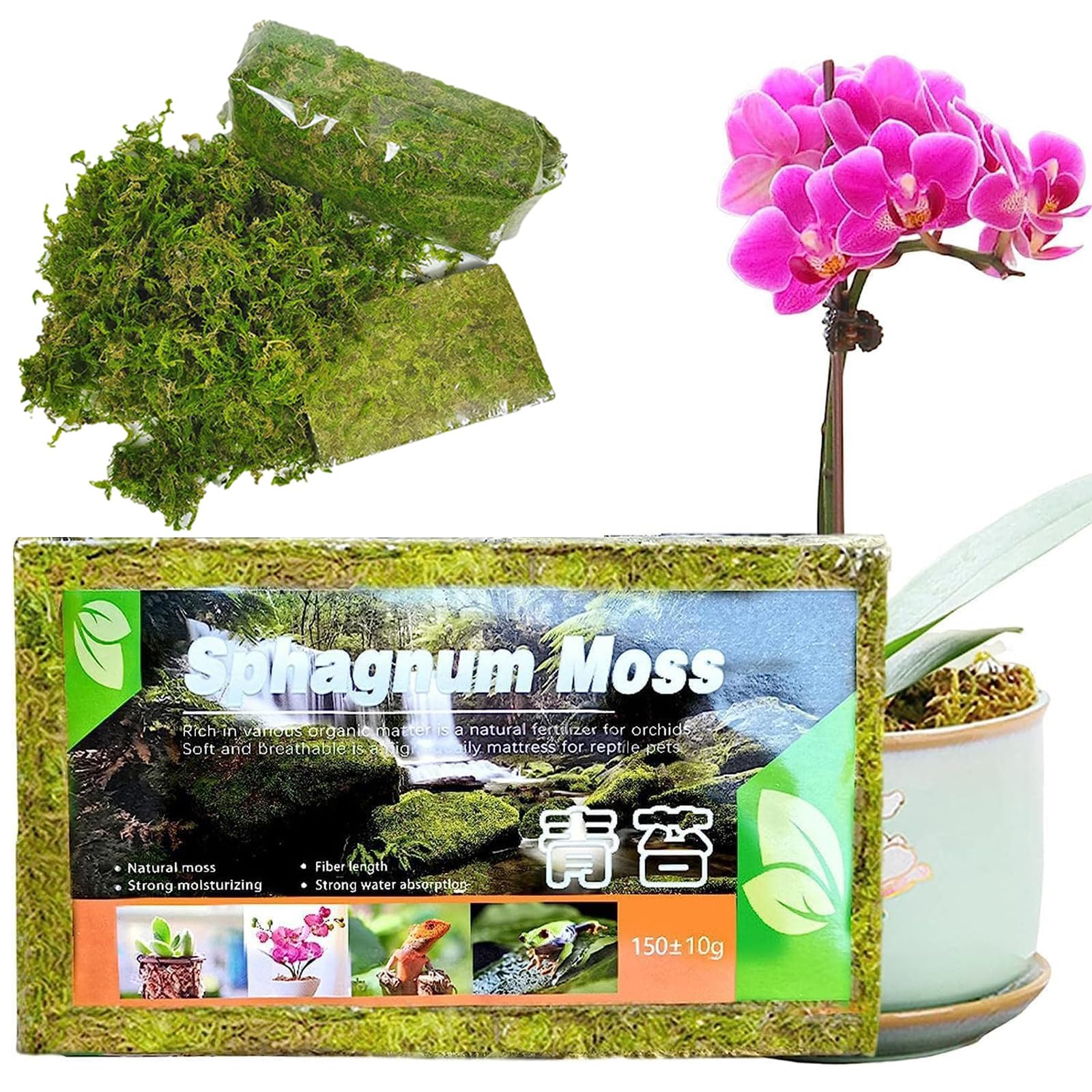 【送料無料】Meltryllis 天然水苔 圧縮水苔 ミズゴケ (約150g) 鉢植え土壌 園芸用 培養土 植物の成長培..