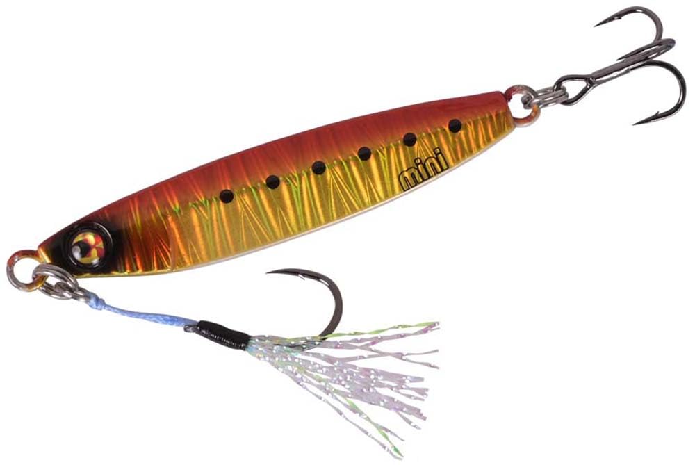 ������̵���ۥ�����(Xesta) ���ե����С��ʡ� �ߥ� ����134.RGDL�������󥰥����٥꡼����������12g