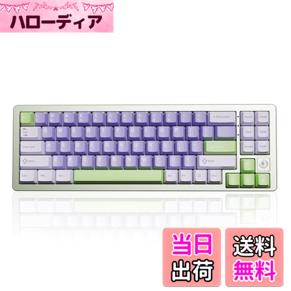 【送料無料】YUNZII AL71 68% ゲーミングキーボード フル...(2.0)