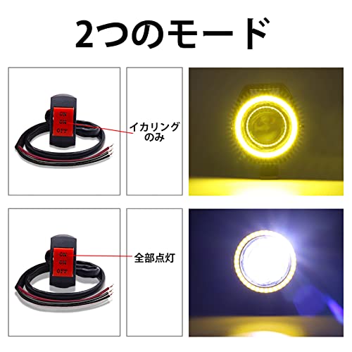 ������̵����Aoling �Х��� ������� �ե������� �����å��դ�