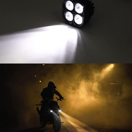 ������̵����Aoling �Х��� �ե������� 4LED 2�ĥ��å�